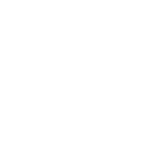 HSE emblem